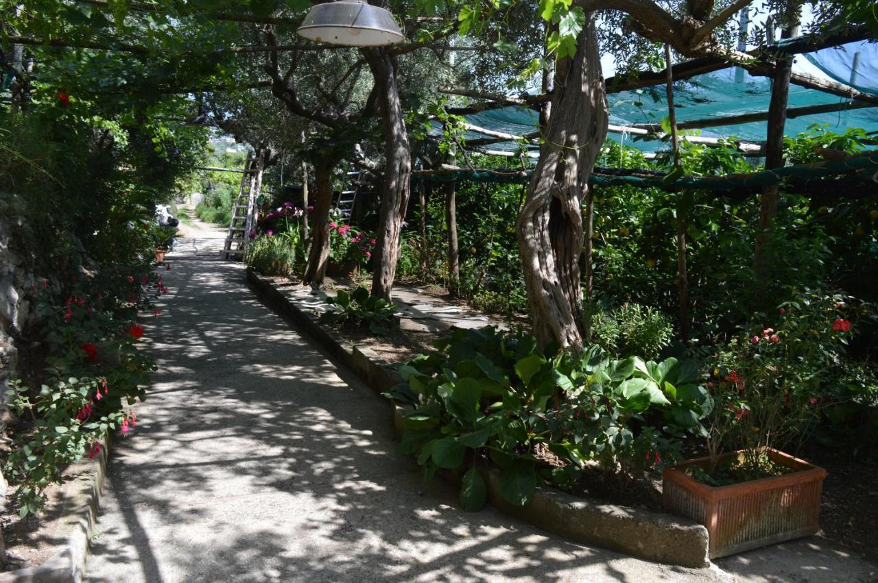 La Petra Vila Vico Equense Exterior foto