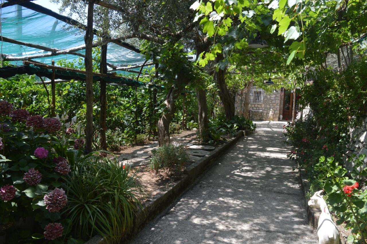 La Petra Vila Vico Equense Exterior foto