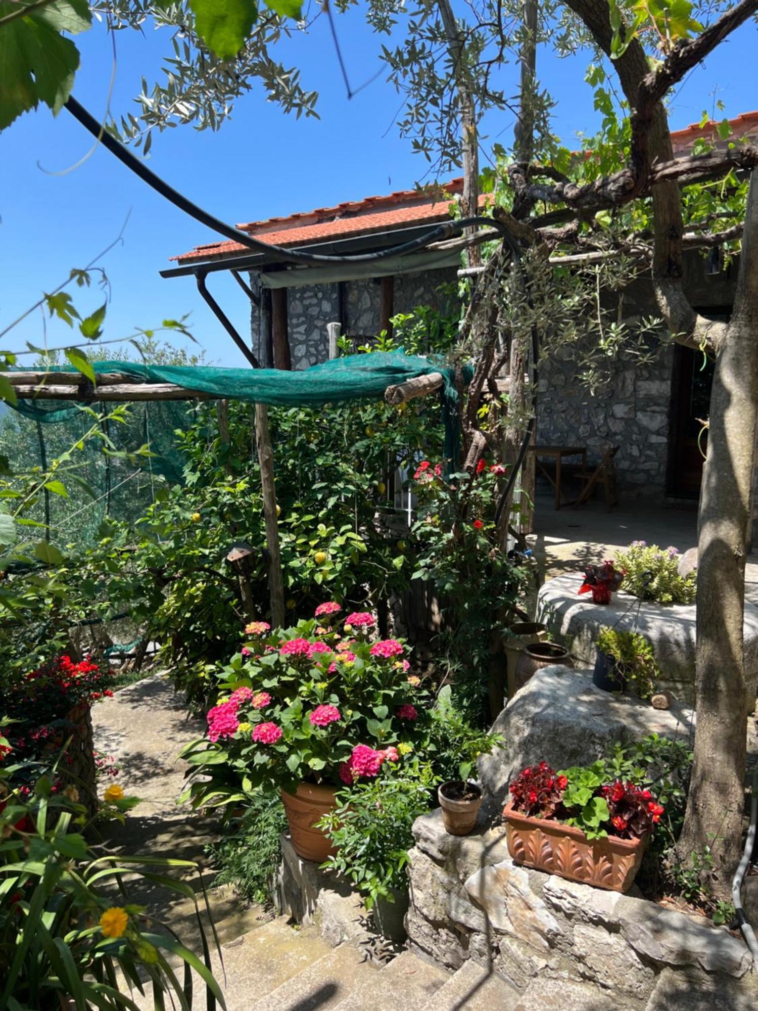La Petra Vila Vico Equense Exterior foto
